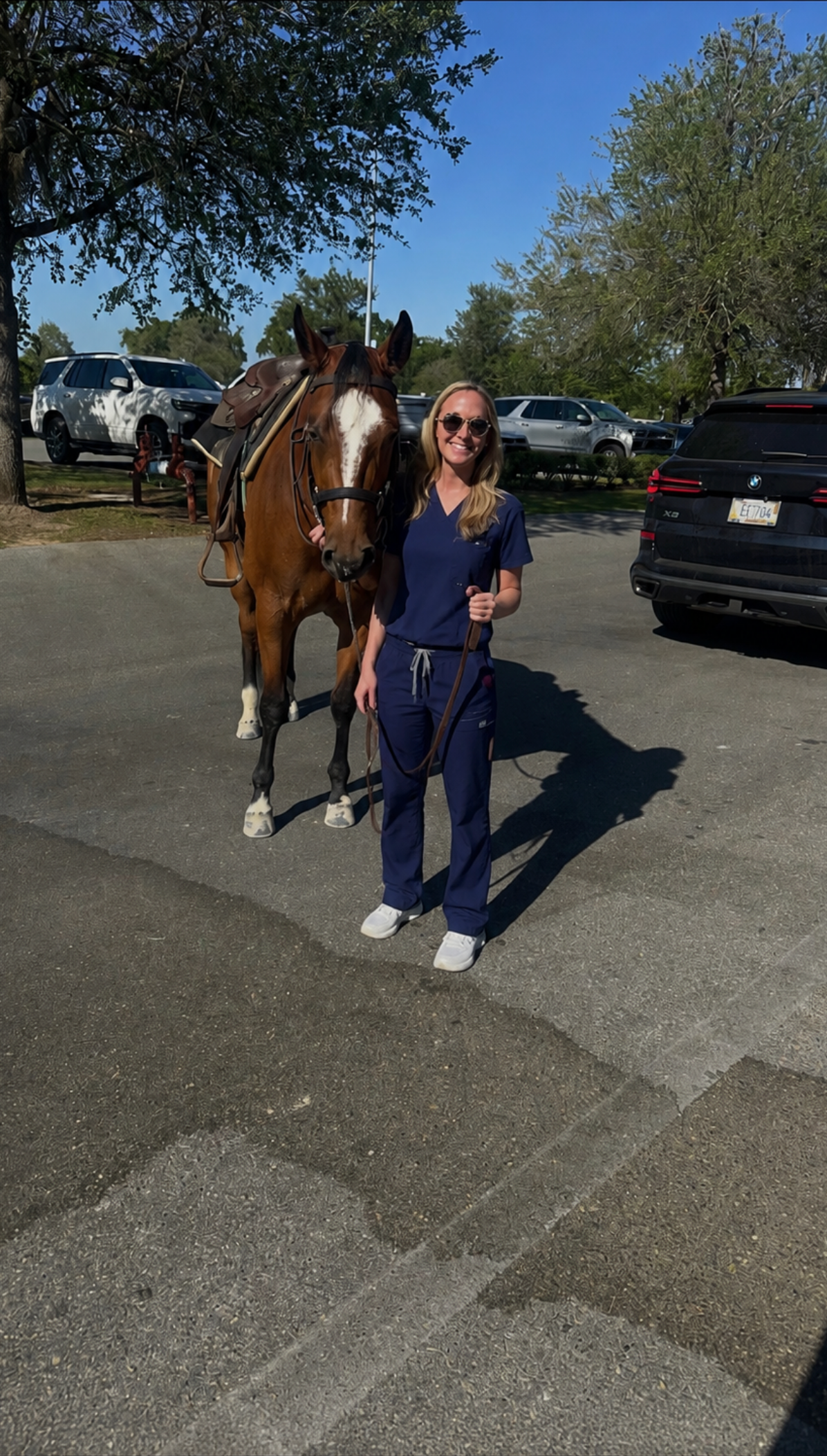 Equine veterinary care — a veterinarian treating a horse